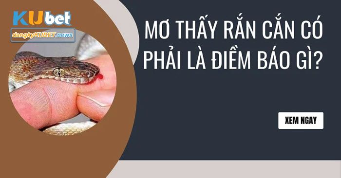 Mơ thấy bị rắn cắn