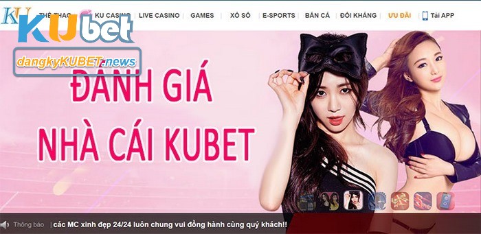 Đánh giá chung về nhà cái cá cược uy tín Kubet